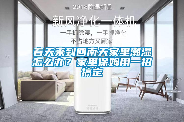 春天來到回南天家里潮濕怎么辦?家里保姆用一招搞定