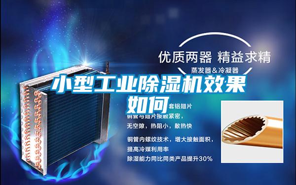 小型工業(yè)除濕機(jī)效果如何