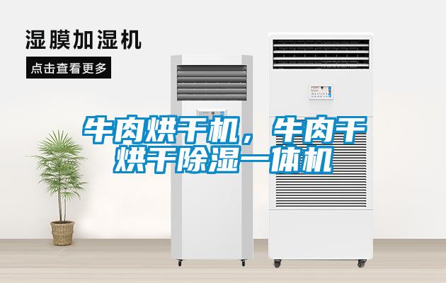 牛肉烘干機(jī),牛肉干烘干除濕一體機(jī)