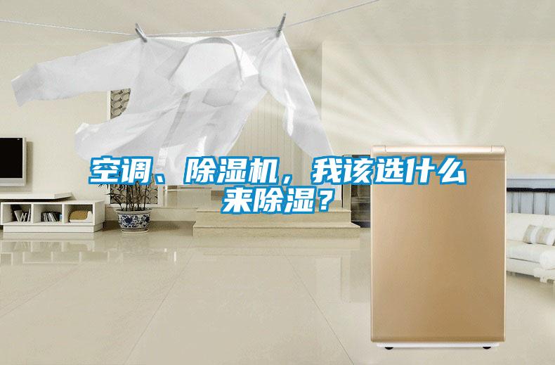 空調(diào)、除濕機(jī)，我該選什么來除濕？