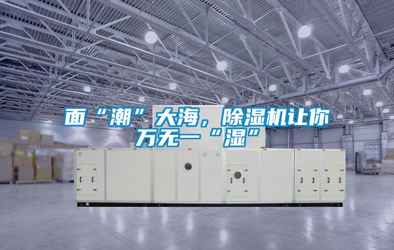 面“潮”大海,除濕機讓你萬無一“濕”