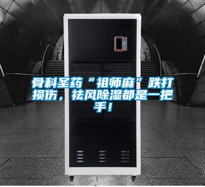 骨科圣藥“祖師麻”跌打損傷,祛風(fēng)除濕都是一把手!