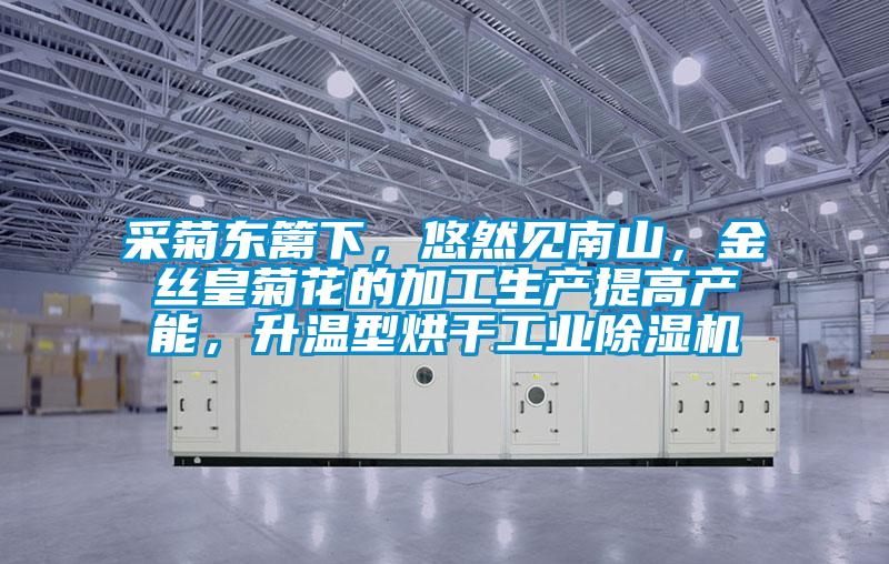 采菊東籬下，悠然見南山，金絲皇菊花的加工生產提高產能，升溫型烘干工業除濕機