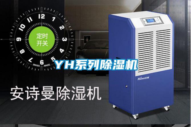 YH系列除濕機(jī)