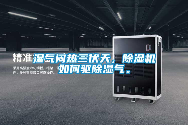 濕氣悶熱三伏天，除濕機如何驅除濕氣。