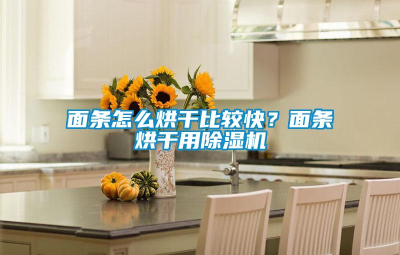 面條怎么烘干比較快?面條烘干用除濕機