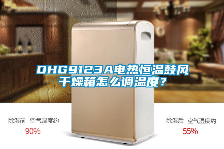 DHG9123A電熱恒溫鼓風干燥箱怎么調溫度？