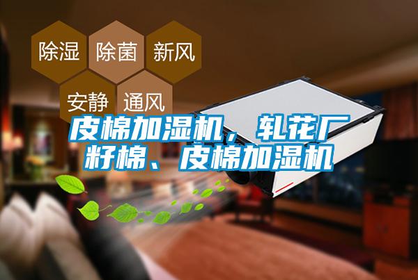 皮棉加濕機(jī),軋花廠籽棉、皮棉加濕機(jī)