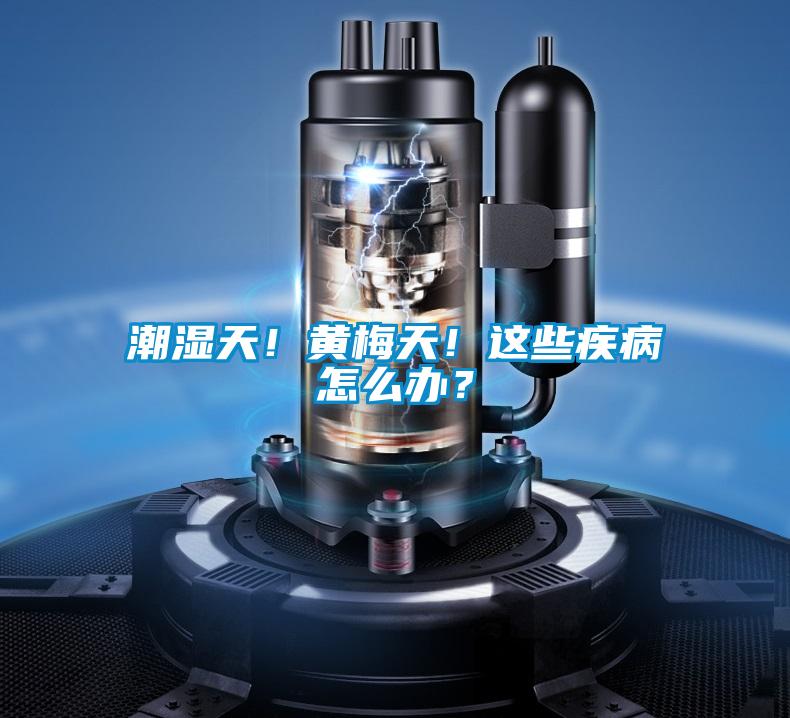 潮濕天！黃梅天！這些疾病怎么辦？