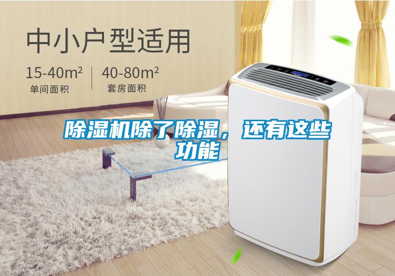 除濕機除了除濕，還有這些功能