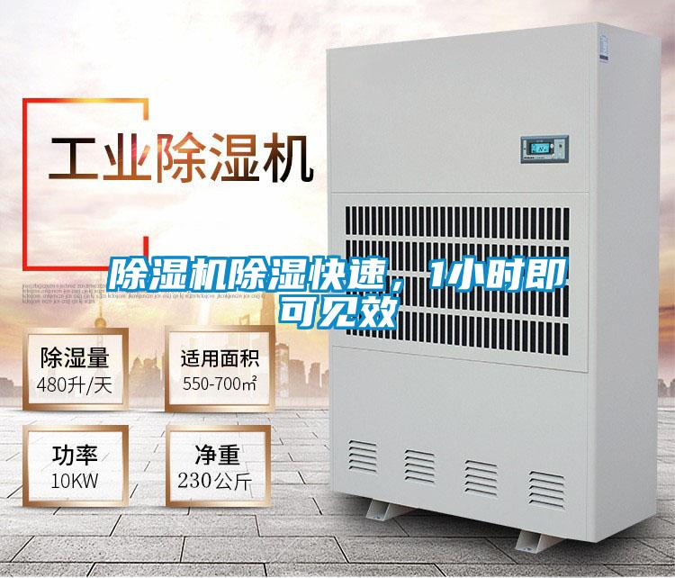 除濕機除濕快速，1小時即可見效