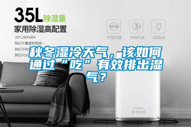 秋冬濕冷天氣，該如何通過“吃”有效排出濕氣？