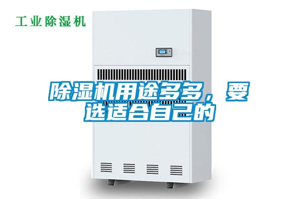 除濕機(jī)用途多多，要選適合自己的
