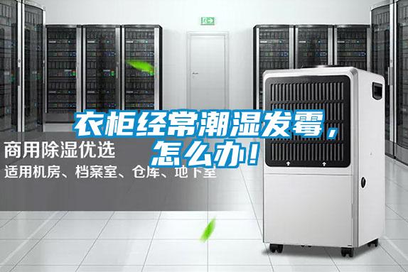 衣柜經常潮濕發霉，怎么辦！
