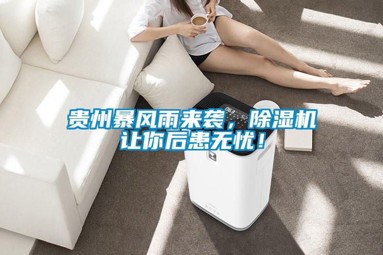 貴州暴風(fēng)雨來(lái)襲,除濕機(jī)讓你后患無(wú)憂!