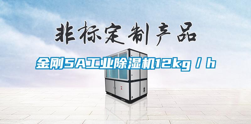 金剛5A工業(yè)除濕機12kg/h