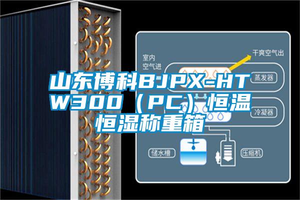 山東博科BJPX-HTW300(PC)恒溫恒濕稱重箱
