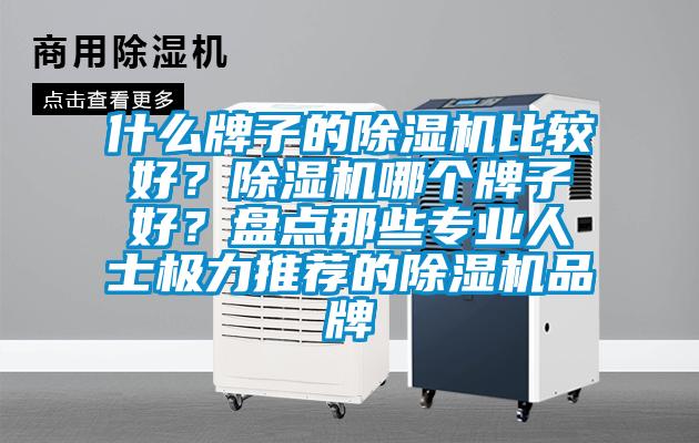 什么牌子的除濕機比較好?除濕機哪個牌子好?盤點那些專業人士極力推薦的除濕機品牌