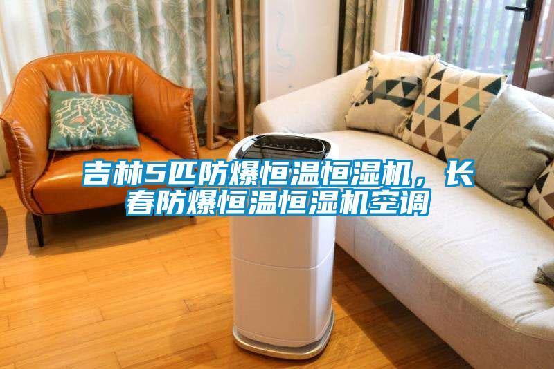 吉林5匹防爆恒溫恒濕機(jī),長春防爆恒溫恒濕機(jī)空調(diào)