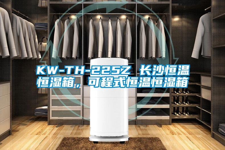 KW-TH-225Z 長沙恒溫恒濕箱，可程式恒溫恒濕箱