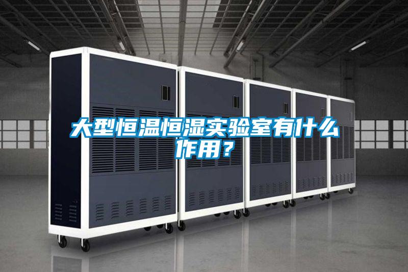 大型恒溫恒濕實(shí)驗(yàn)室有什么作用?
