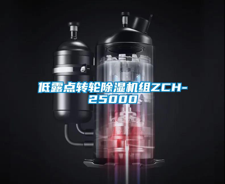 低露點轉(zhuǎn)輪除濕機組ZCH-25000