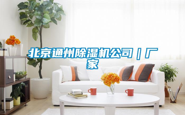 北京通州除濕機公司|廠家