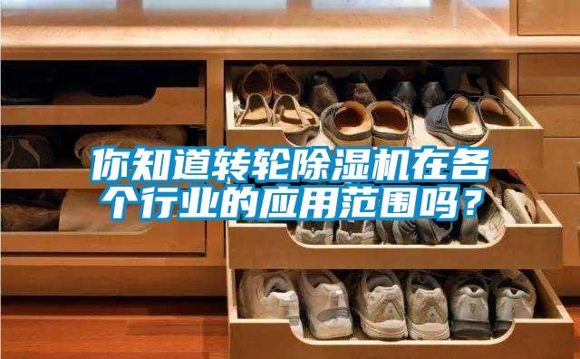 你知道轉(zhuǎn)輪除濕機在各個行業(yè)的應(yīng)用范圍嗎？