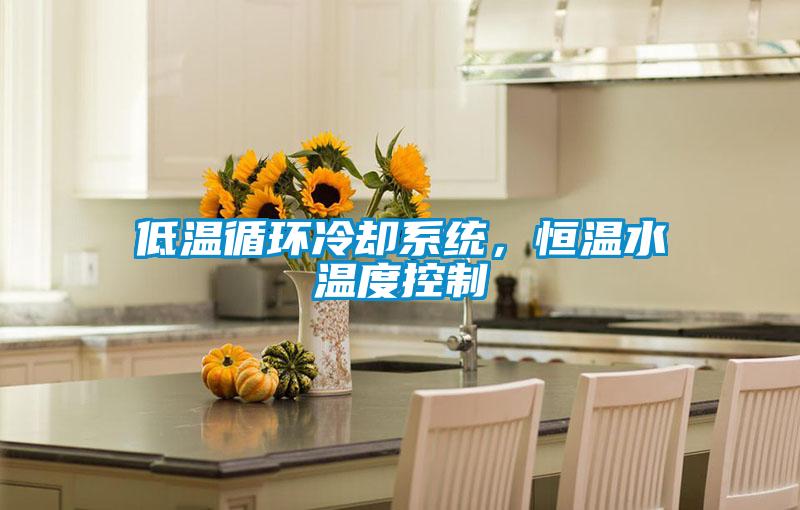 低溫循環(huán)冷卻系統(tǒng),恒溫水溫度控制