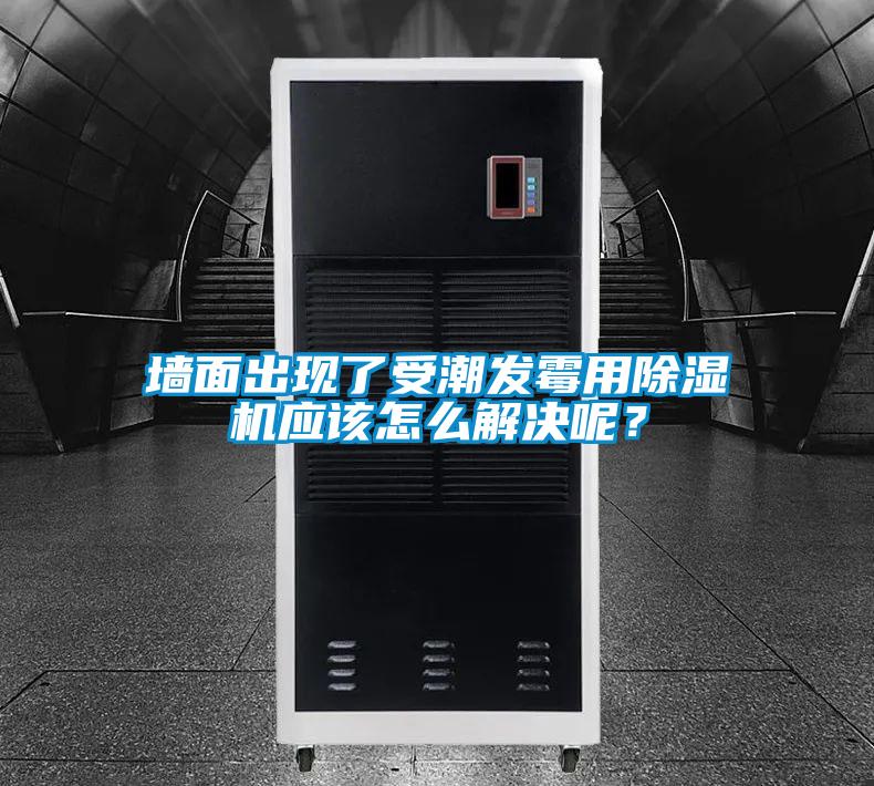 墻面出現了受潮發霉用除濕機應該怎么解決呢?