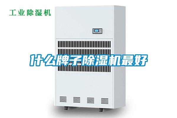 什么牌子除濕機(jī)最好
