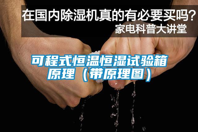 可程式恒溫恒濕試驗箱原理(帶原理圖)