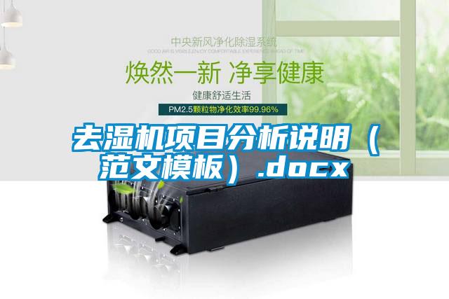 去濕機(jī)項(xiàng)目分析說明(范文模板).docx