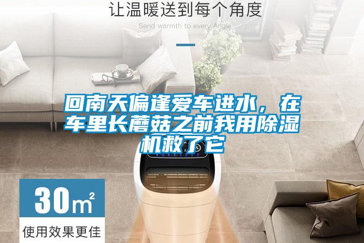 回南天偏逢愛車進水,在車里長蘑菇之前我用除濕機救了它