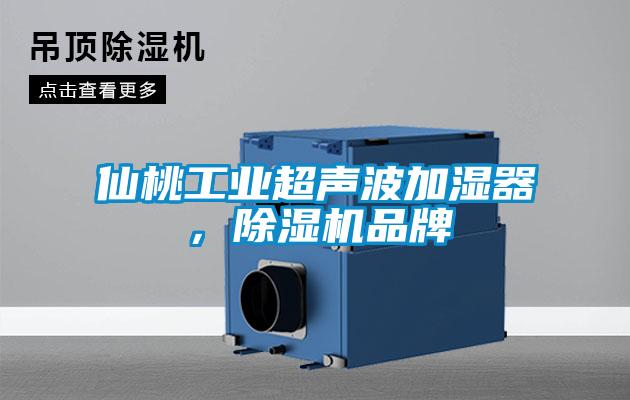 仙桃工業超聲波加濕器，除濕機品牌