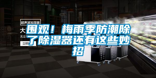 圍觀！梅雨季防潮除了除濕器還有這些妙招