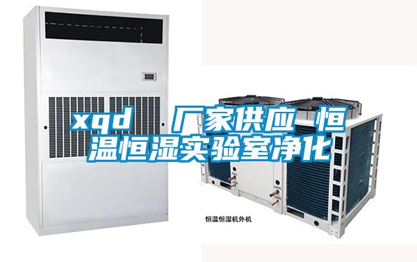 xqd 廠家供應(yīng) 恒溫恒濕實(shí)驗(yàn)室凈化