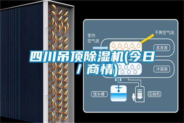 四川吊頂除濕機(jī)(今日/商情)