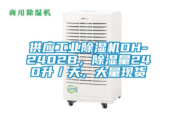 供應(yīng)工業(yè)除濕機DH-2402B，除濕量240升／天，大量現(xiàn)貨