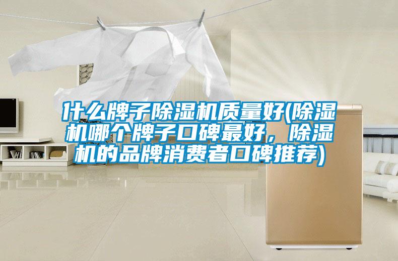 什么牌子除濕機質(zhì)量好(除濕機哪個牌子口碑最好,除濕機的品牌消費者口碑推薦)