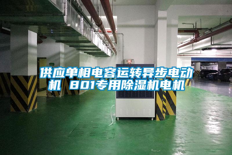 供應(yīng)單相電容運轉(zhuǎn)異步電動機 801專用除濕機電機