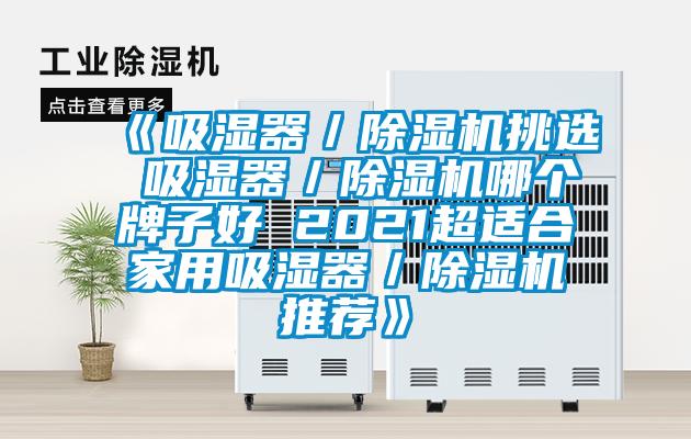 《吸濕器/除濕機(jī)挑選 吸濕器/除濕機(jī)哪個牌子好 2021超適合家用吸濕器/除濕機(jī)推薦》