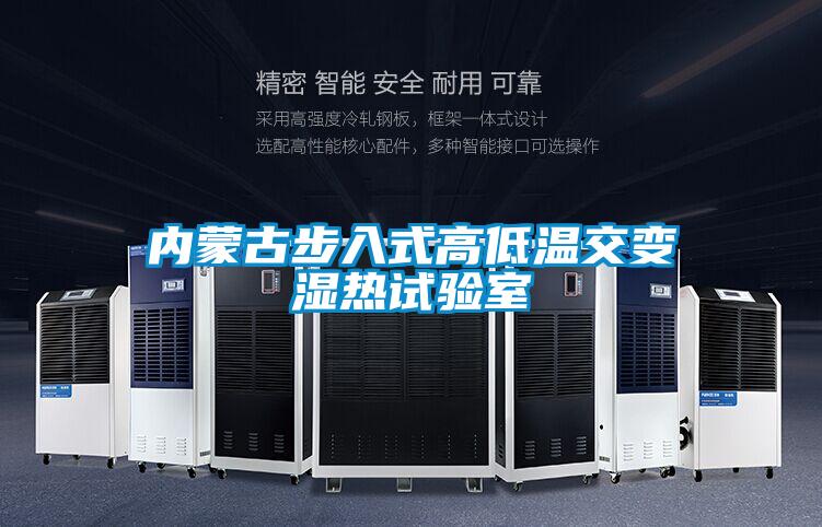 內(nèi)蒙古步入式高低溫交變濕熱試驗(yàn)室