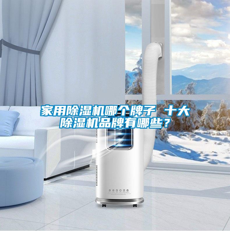 家用除濕機哪個牌子 十大除濕機品牌有哪些？