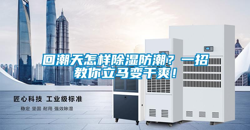 回潮天怎樣除濕防潮？一招教你立馬變干爽！