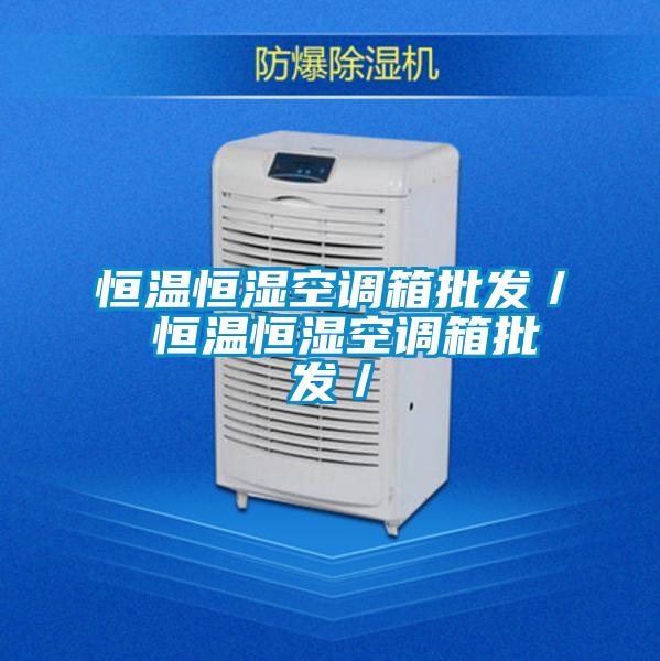 恒溫恒濕空調箱批發/ 恒溫恒濕空調箱批發/