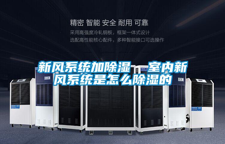 新風(fēng)系統(tǒng)加除濕 室內(nèi)新風(fēng)系統(tǒng)是怎么除濕的