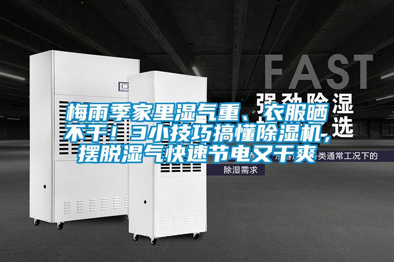 梅雨季家里濕氣重、衣服曬不干!3小技巧搞懂除濕機,擺脫濕氣快速節電又干爽