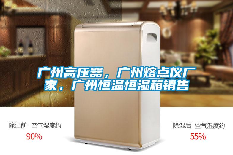 廣州高壓器,廣州熔點儀廠家,廣州恒溫恒濕箱銷售