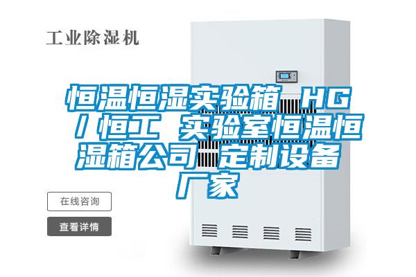 恒溫恒濕實(shí)驗(yàn)箱 HG/恒工 實(shí)驗(yàn)室恒溫恒濕箱公司 定制設(shè)備廠家